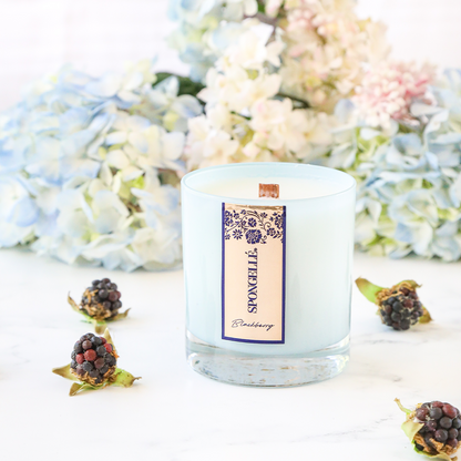 Spongellé Private Reserve Blackberry Candle 8oz