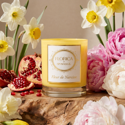 Spongellé Florica Fleur de Narcisse Candle 8oz