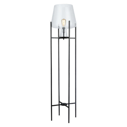 Tiffany-Style Lighting 61" Nadia Metal & Clear Glass Blown Modern Floor Lamp