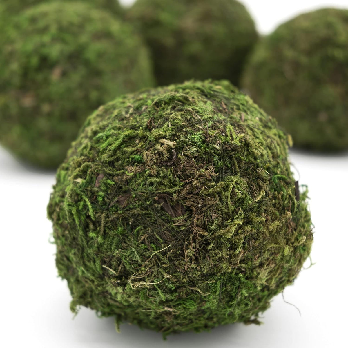 House by JSD Set of Six 4" Moss Balls