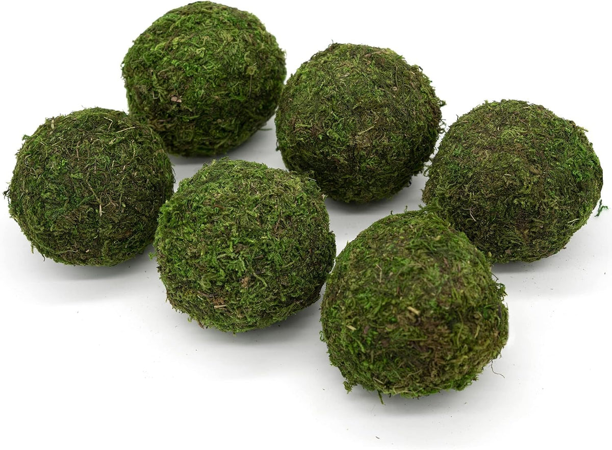 House by JSD Set of Six 4" Moss Balls