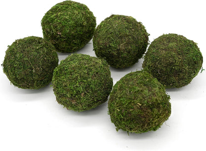House by JSD Set of Six 4" Moss Balls