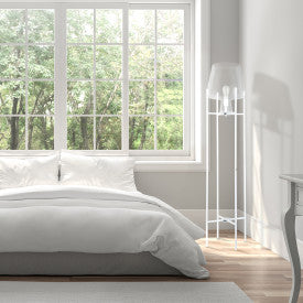 Tiffany-Style Lighting 61" Nadia Metal & Clear Glass Blown Modern Floor Lamp