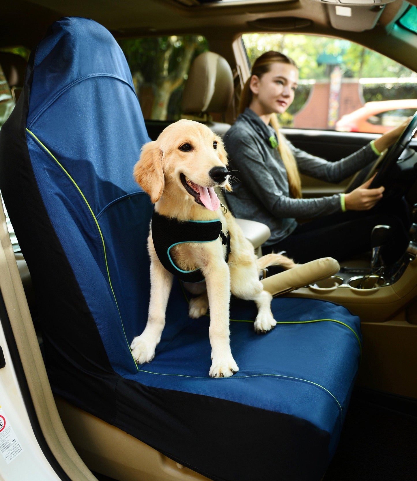 Pet Life ® 'Open Road' Single Seated Safety Pet Carseat Cover Protector