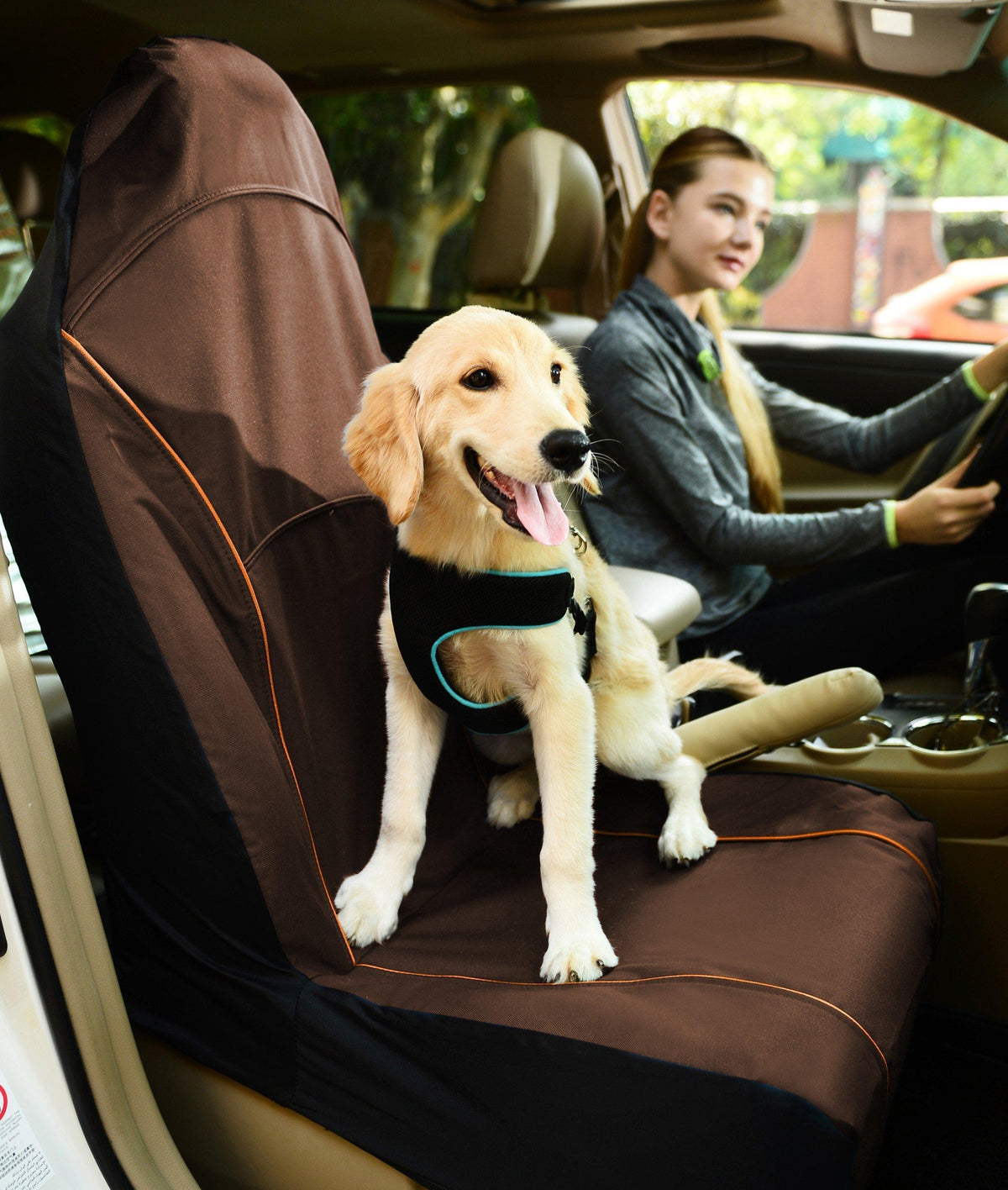 Pet Life ® 'Open Road' Single Seated Safety Pet Carseat Cover Protector