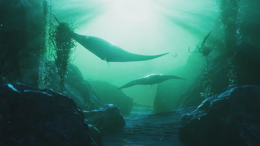 Nubeo Men's 50mm Manta Automatic Limited Edition Specialty Strap Watch