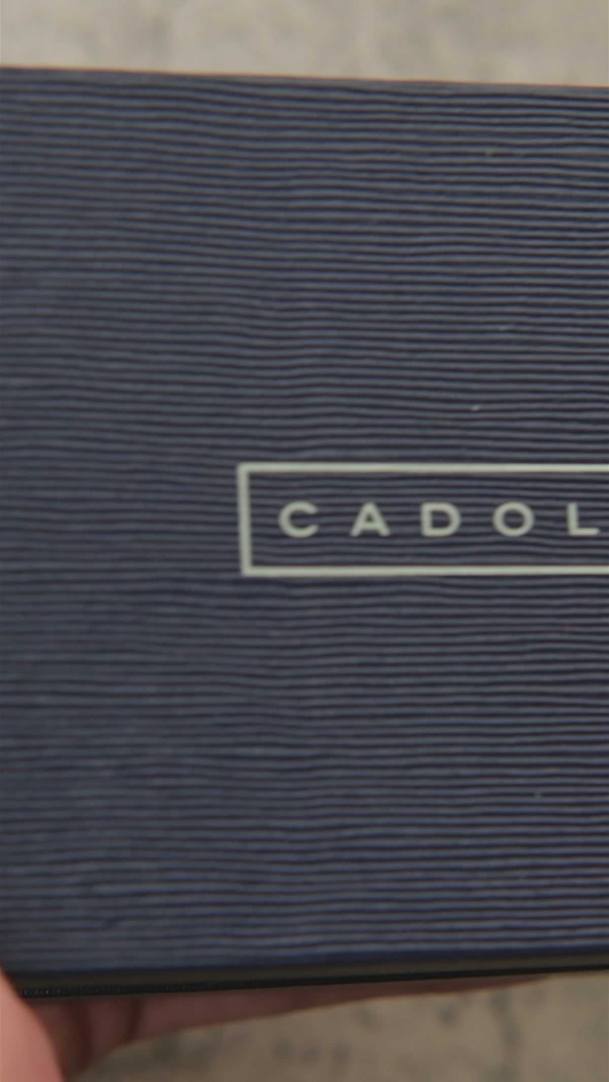 Load video: Cadola 41mm Men's Lydden Hill Automatic Date Bracelet Watch