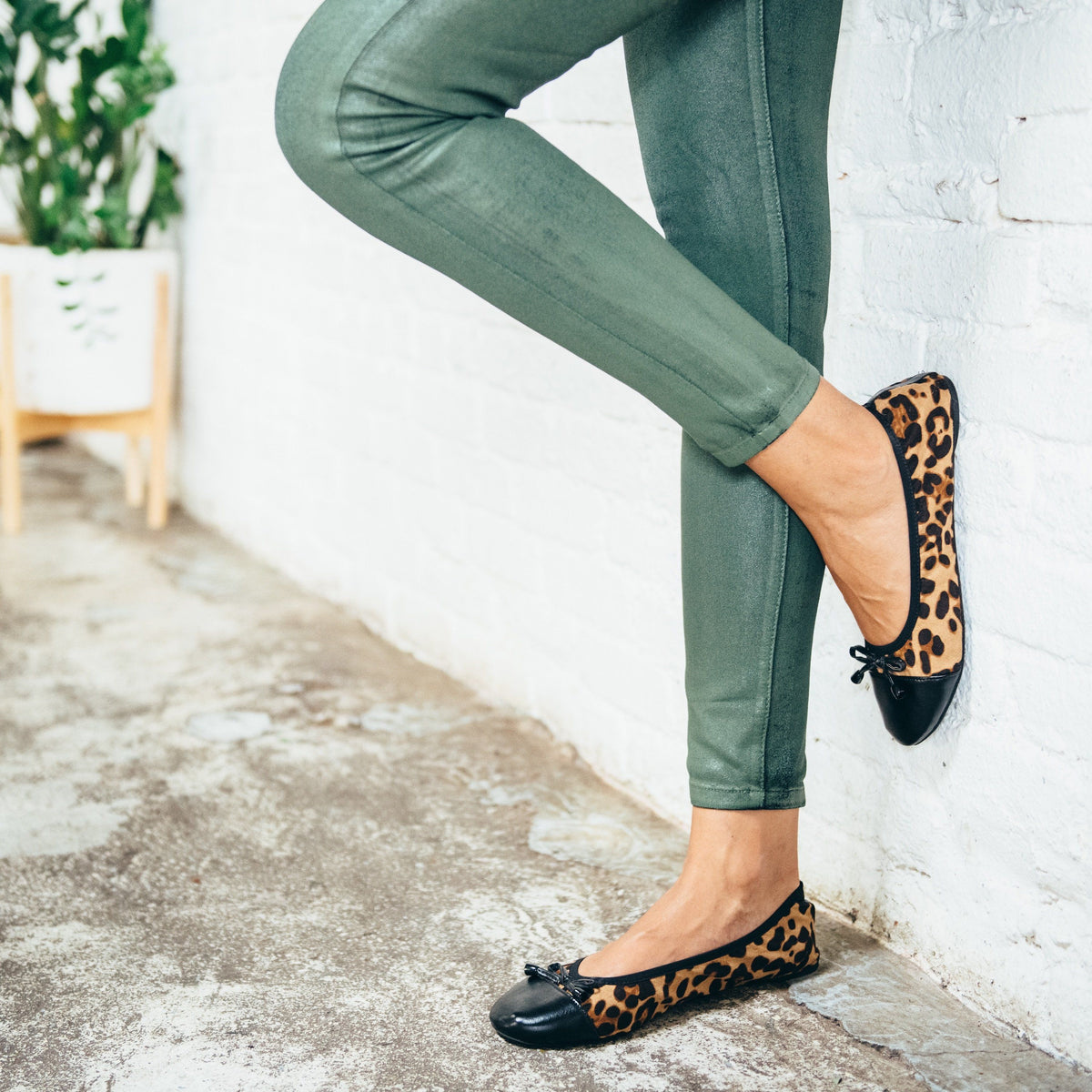 Talaria Flats Premium Leopard Flats