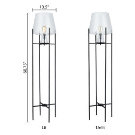 Tiffany-Style Lighting 61" Nadia Metal & Clear Glass Blown Modern Floor Lamp