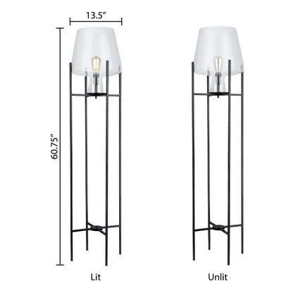 Tiffany-Style Lighting 61" Nadia Metal & Clear Glass Blown Modern Floor Lamp