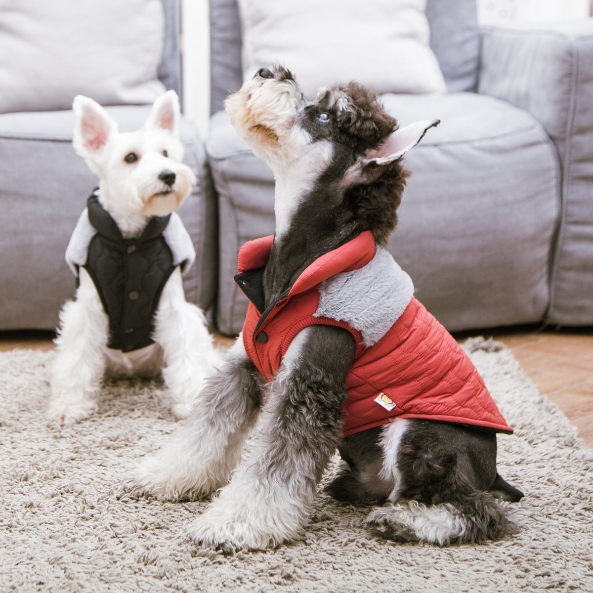 Touchdog 'Furrost-Bite' Fur & Fleece Dog Jacket