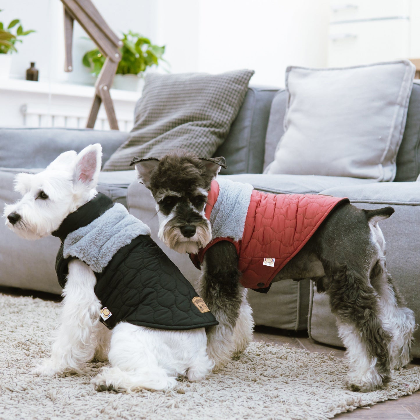 Touchdog 'Furrost-Bite' Fur & Fleece Dog Jacket