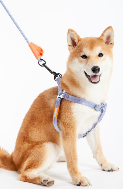 Touchdog ® 'Macaron' 2-in-1 Durable Nylon Dog Harness & Leash
