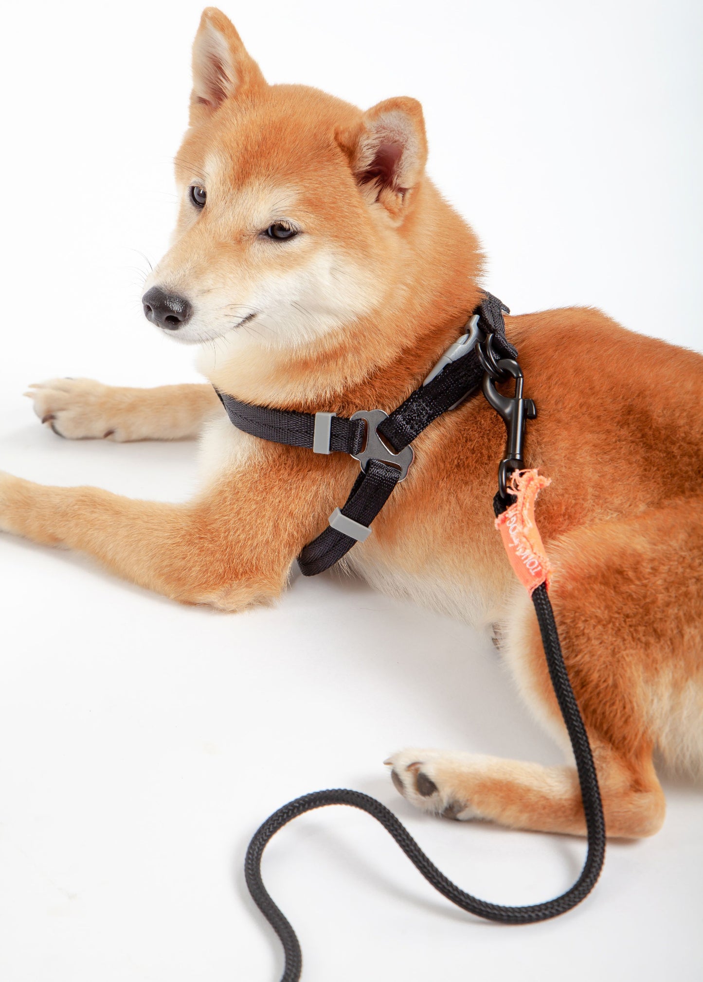 Touchdog ® 'Macaron' 2-in-1 Durable Nylon Dog Harness & Leash