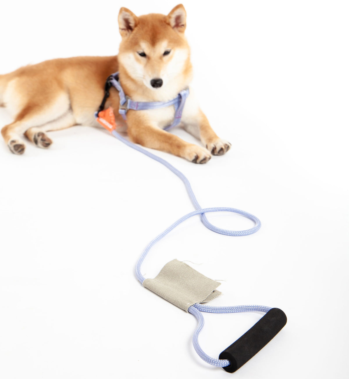Touchdog ® 'Macaron' 2-in-1 Durable Nylon Dog Harness & Leash